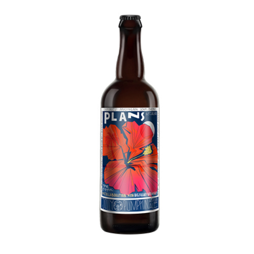 Jolly Pumpkin Plans Sour Ale